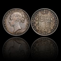 LOT 5